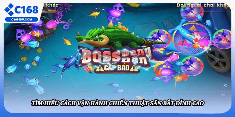 Tìm hiểu cách vận hành chiến thuật săn bắt đỉnh cao